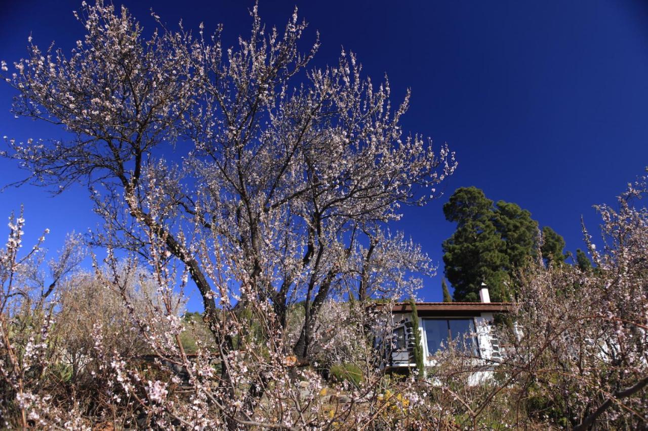 Panorama Suite El Mirador ปุนตากอร์ดา ภายนอก รูปภาพ