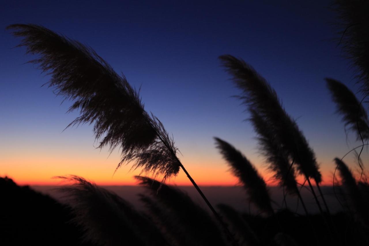 Panorama Suite El Mirador ปุนตากอร์ดา ภายนอก รูปภาพ